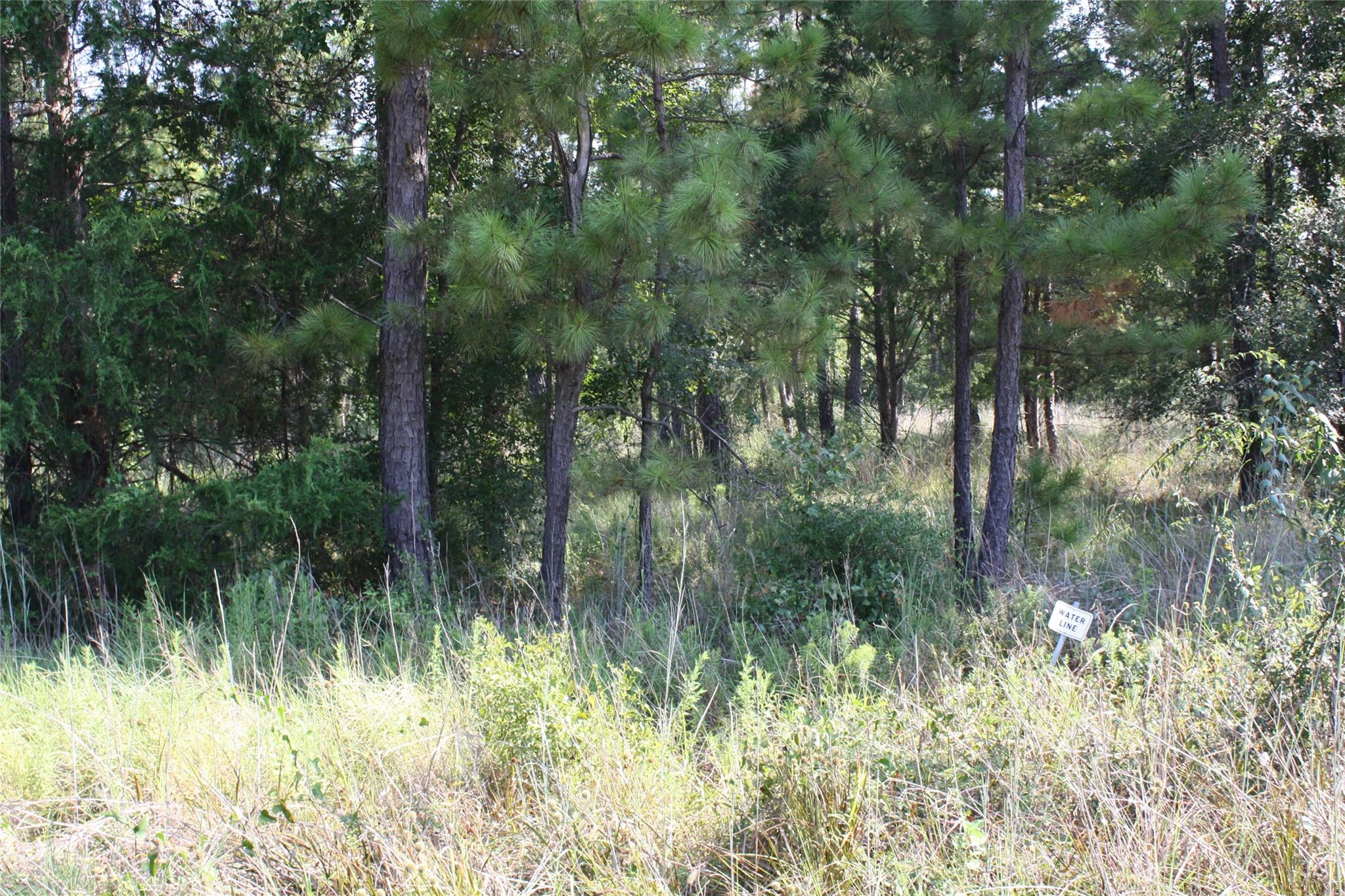 Lot 4 Morris Lane