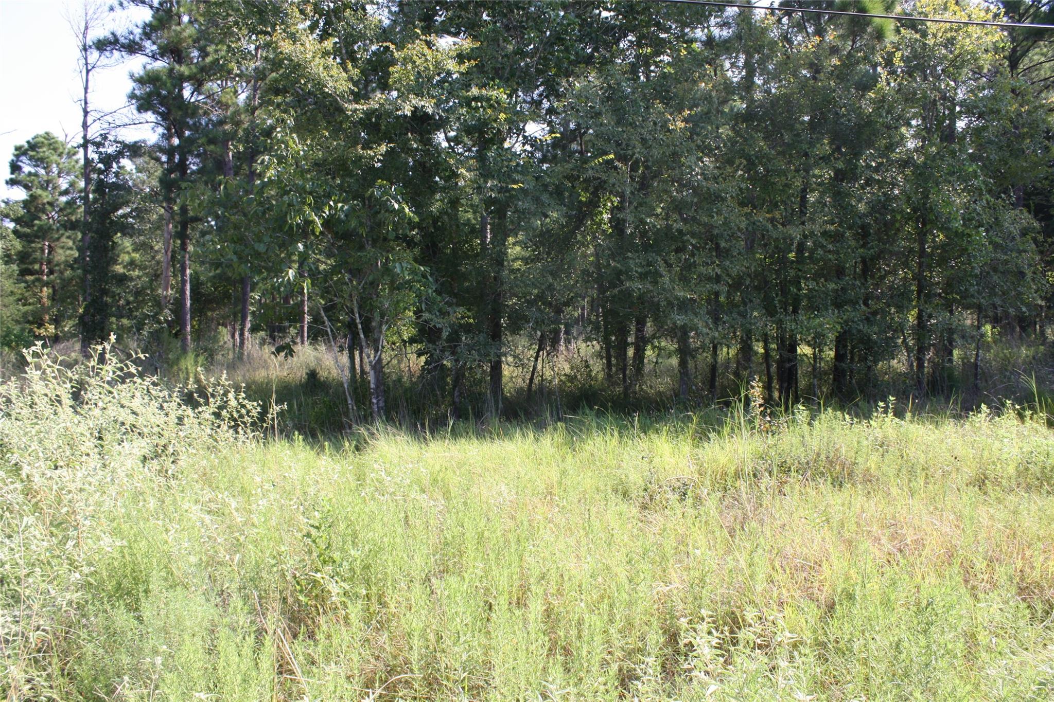 Lot 4 Morris Lane
