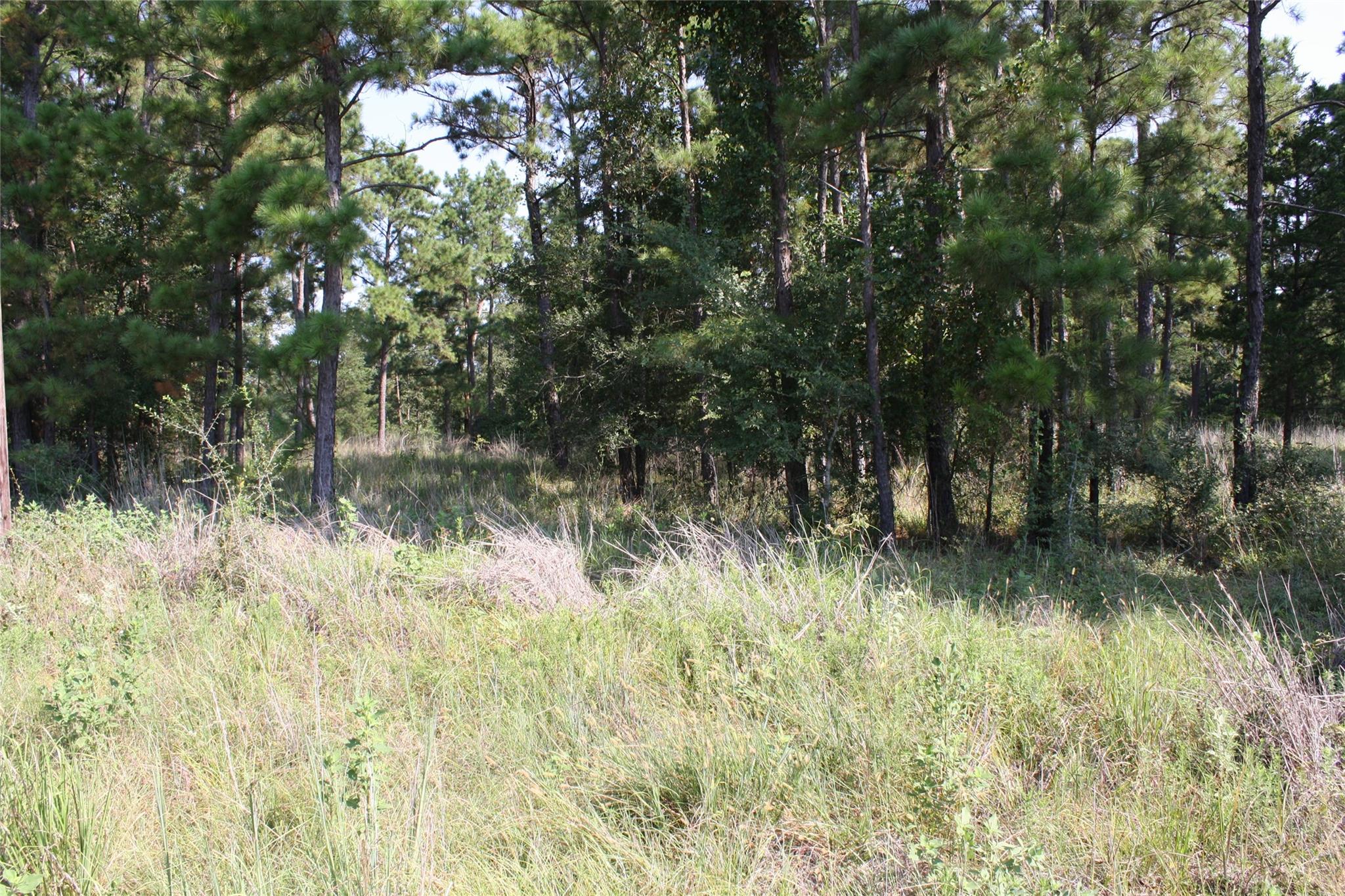 Lot 4 Morris Lane