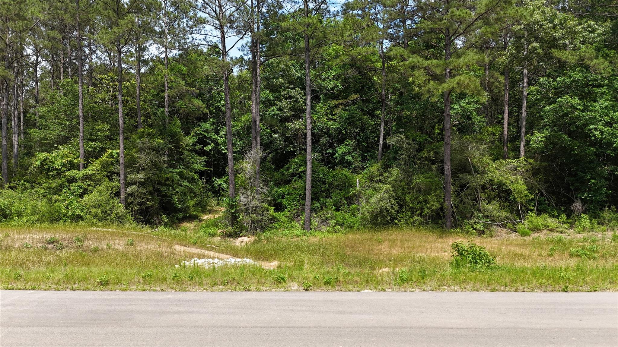 16308 Golden Wood Court