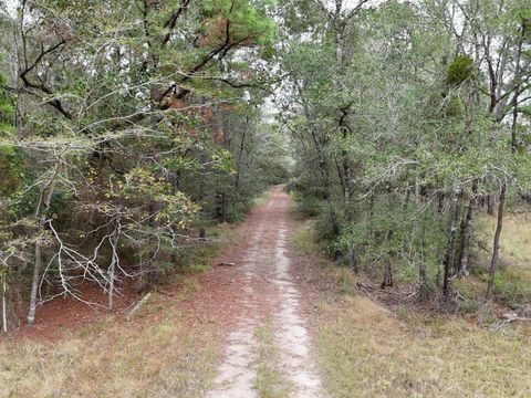 Photo of TBD Tract 1 Percy Howard Road, Huntsville, TX 77320 (MLS # 64170431)