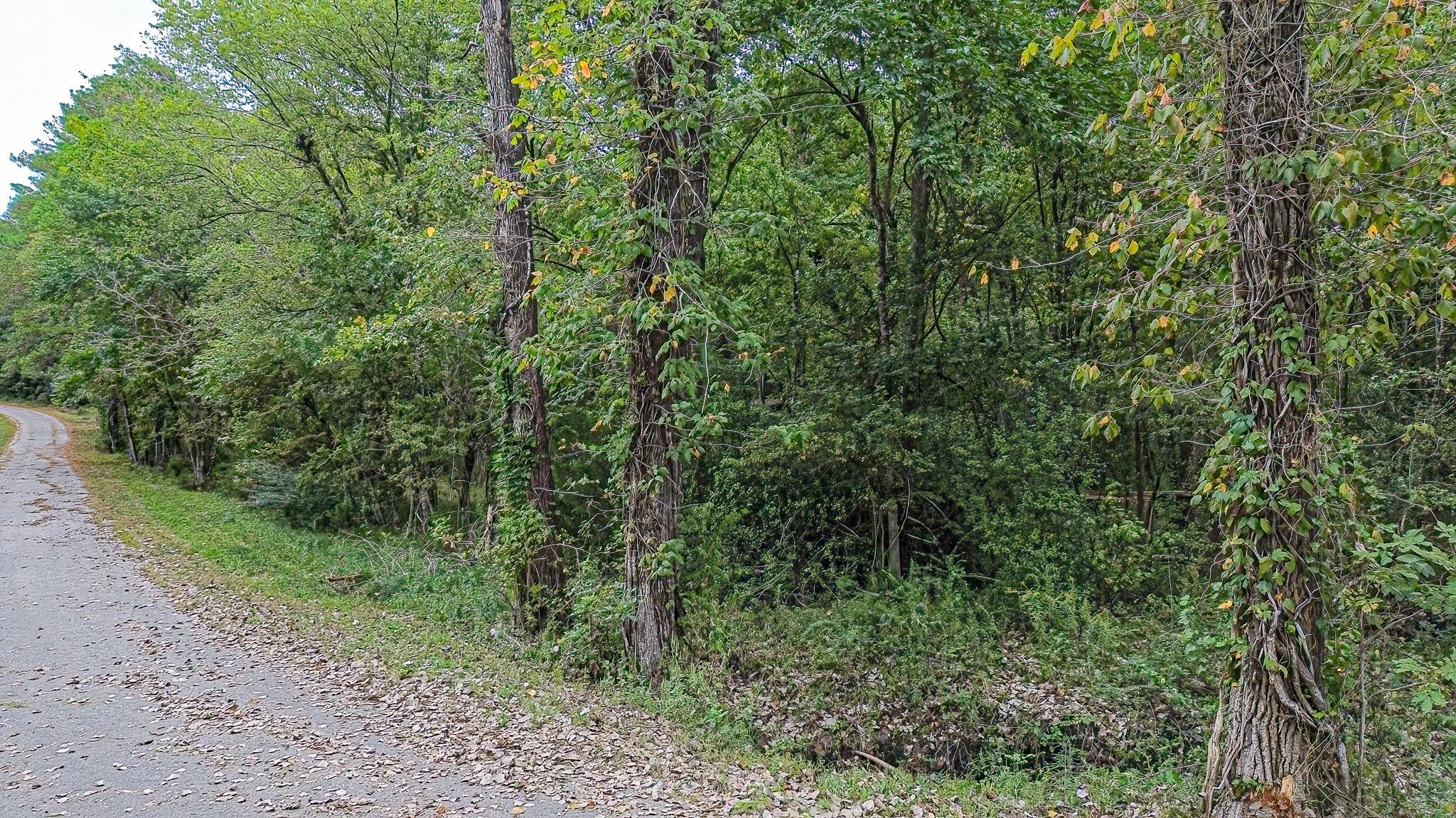 Lot 74 The Woods Road