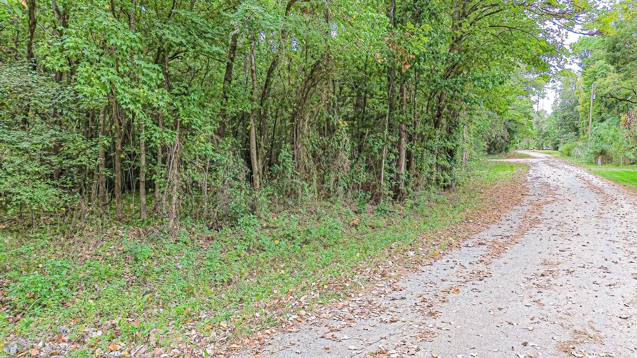 Lot 74 The Woods Road