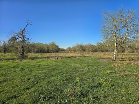 Vacant Land For Sale - County Road 63<br/> Rosharon, TX 77583