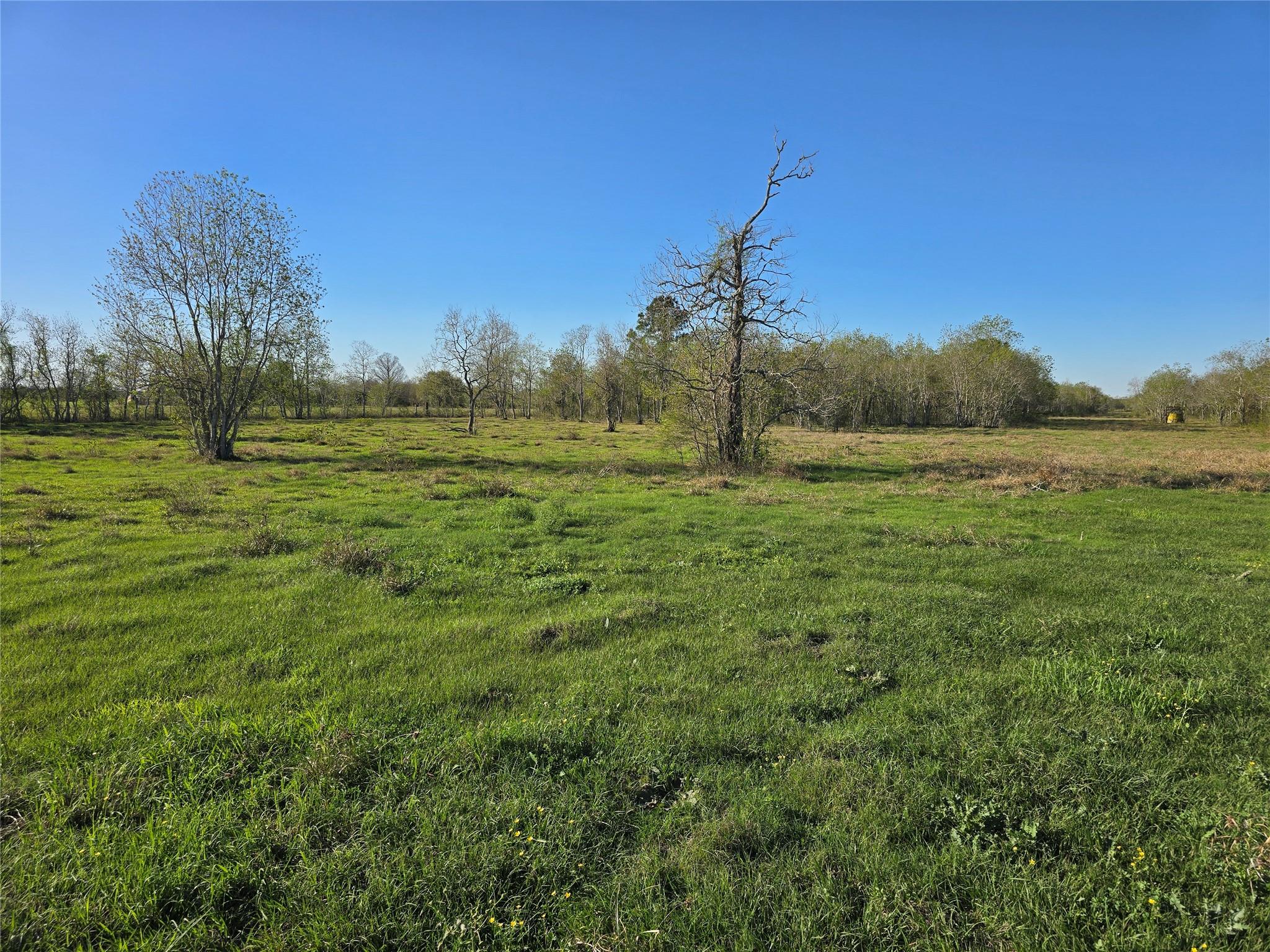 0 County Road 63