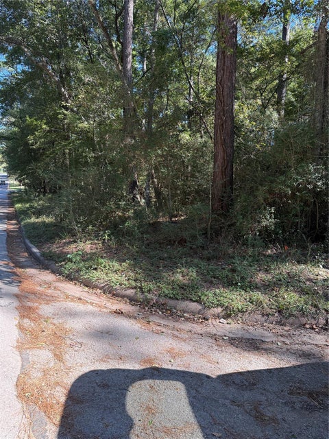 Photo of 296 Broadmoor Drive, Huntsville, TX 77340 (MLS # 62165066)