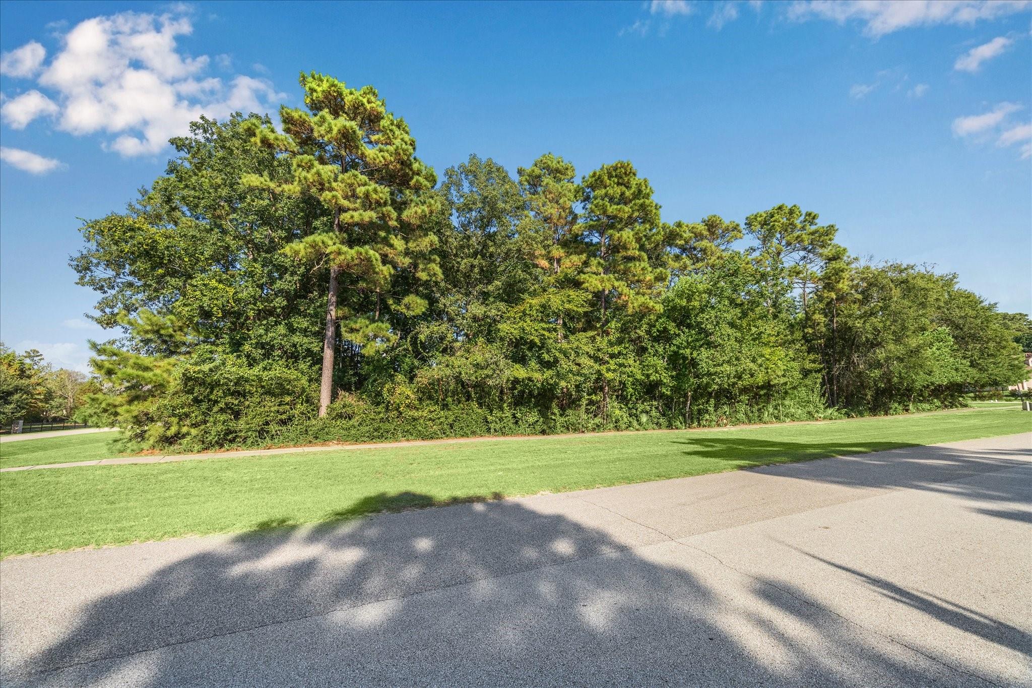 4502 Siandra Creek Court