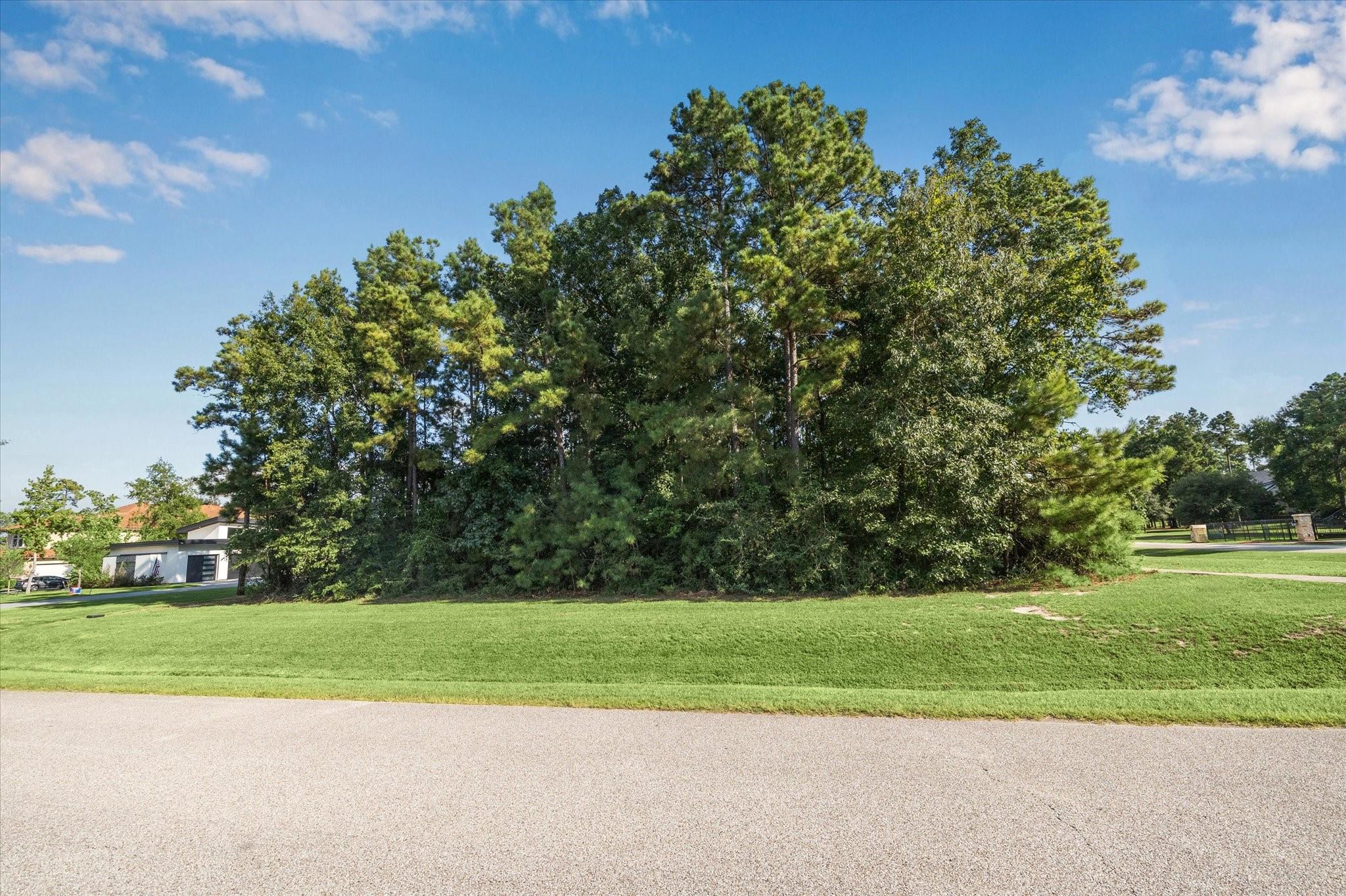 4502 Siandra Creek Court