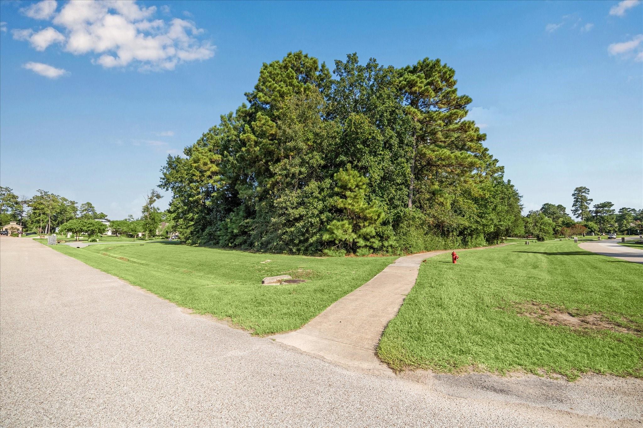 4502 Siandra Creek Court