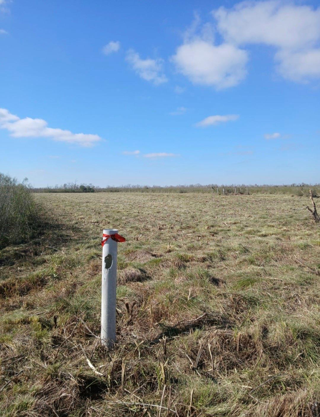 807 County Road 807