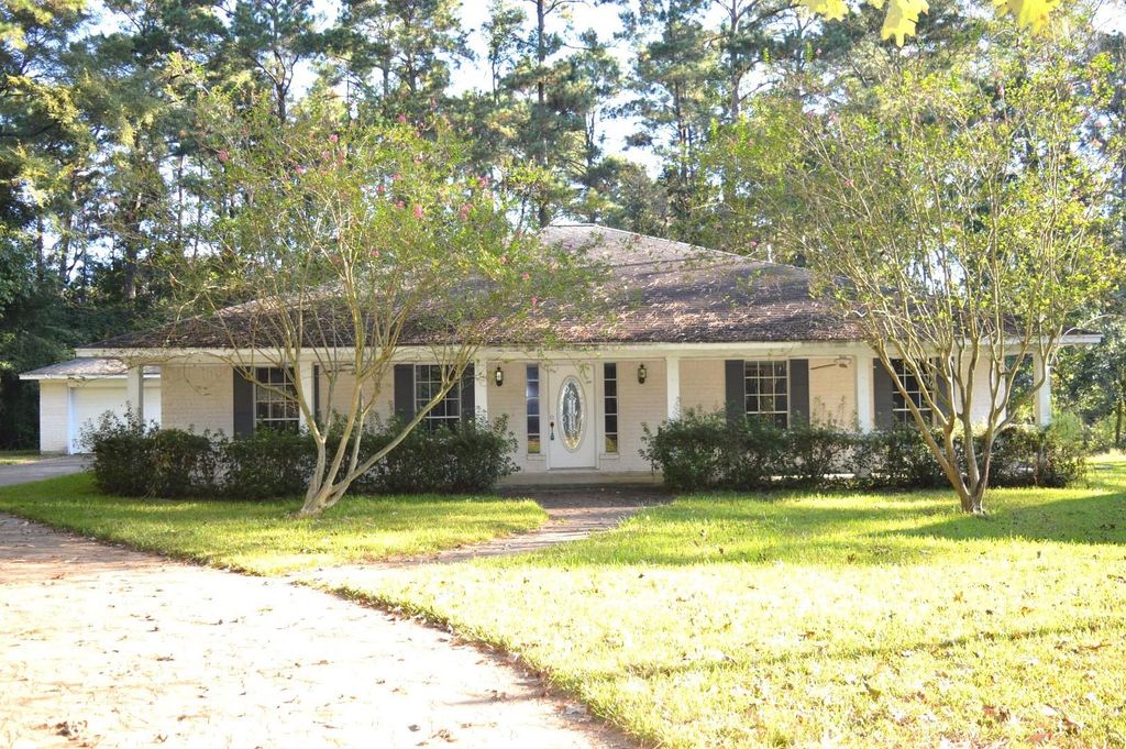 Photo of 22920 Blackgum Drive, Magnolia, TX 77355 (MLS # 90518306)