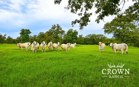 TBD Fm 908 - 657 Acres Caldwell TX 77836