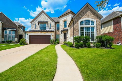 4606 Sky Harbor Court Sugar Land TX 77479