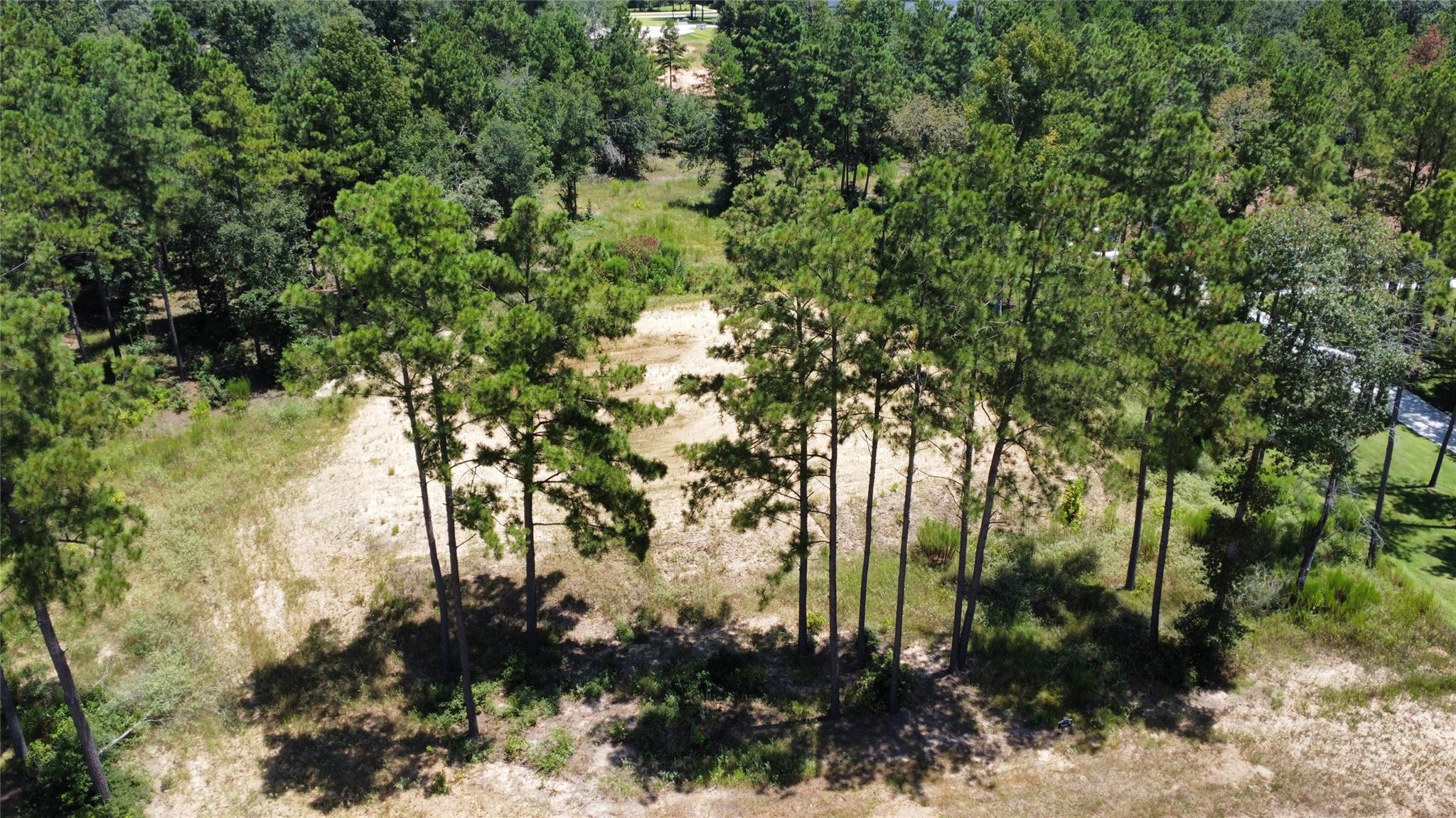 7238 Morningbrook Drive