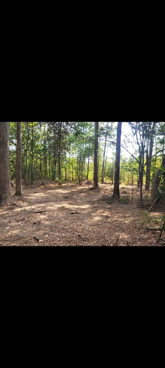 Photo 1 of 6 — TBD Bear Hollow, Cleveland, TX 77328