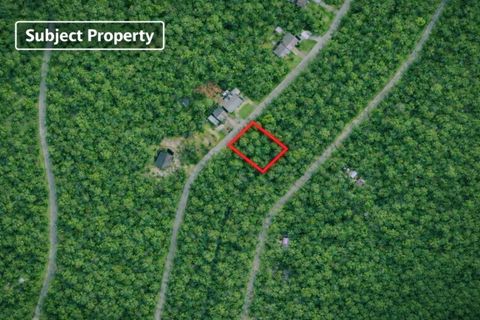 Lot 11 Tonkawa Drive Hilltop Lakes TX 77871