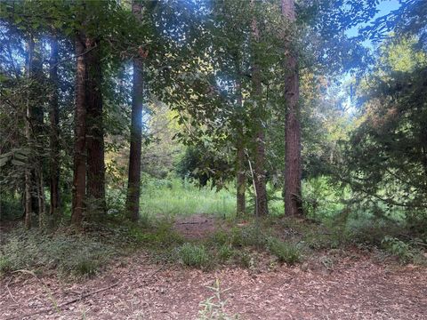 Photo of 23881 Simpson Lane, Votaw, TX 77585 (MLS # 31195697)