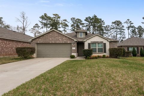 Photo of 175 Courageous Side Way, Magnolia, TX 77354 (MLS # 62833508)