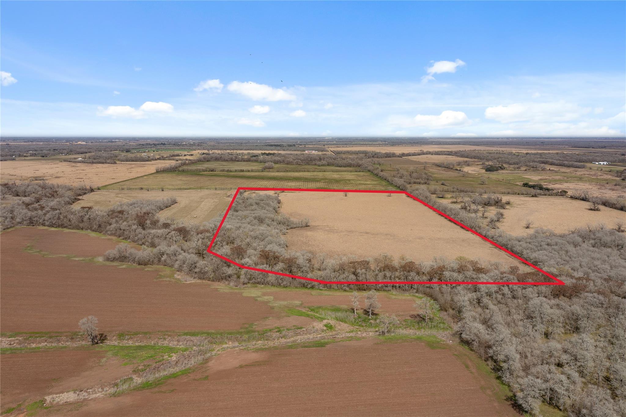 Tract 12 Cr 117
