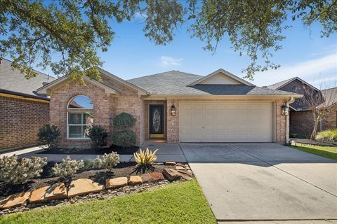 12810 Pelican Island Drive Willis TX 77318