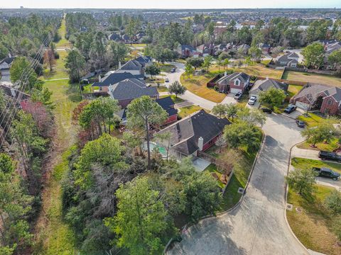 Photo of 21146 Terrace Vine Lane, Spring, TX 77379 (MLS # 19166670)
