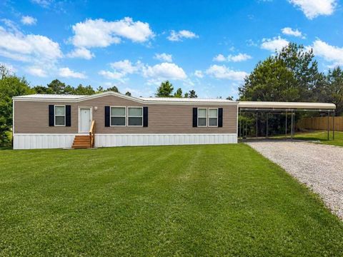 Photo of 251 County Road 717, Buna, TX 77612 (MLS # 36881761)