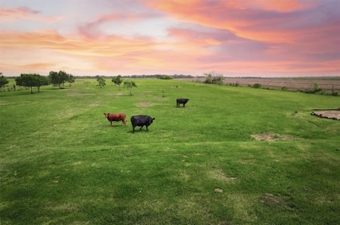 Photo of 8007 County Road 170, Alvin, TX 77511 (MLS # 47364024)