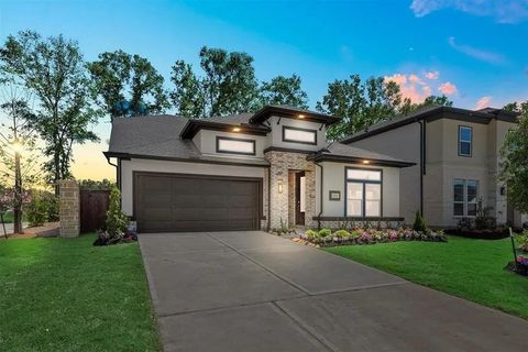 Photo of 8294 Boundary Waters Dr Dr, Porter, TX 77365 (MLS # 24007048)