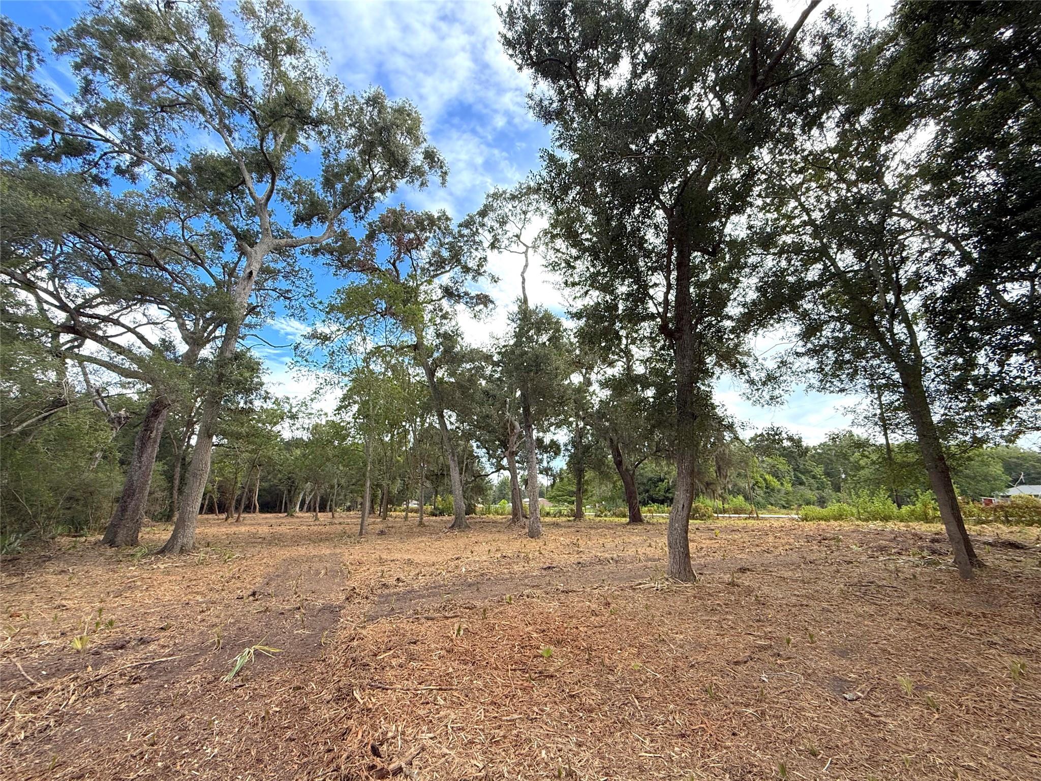 Lot 12A1 Cr 345