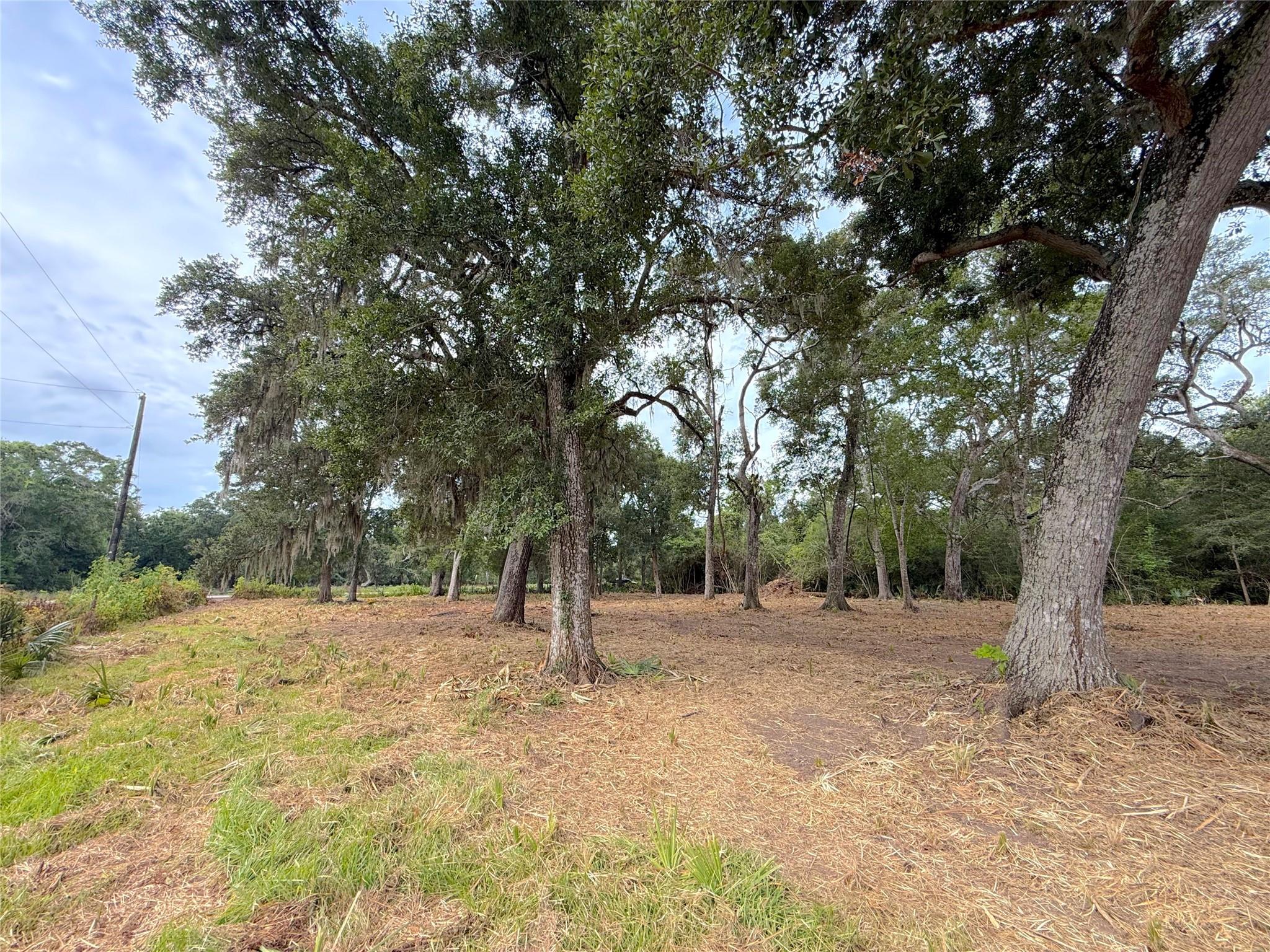 Lot 12A1 Cr 345