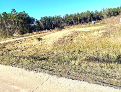 Vacant Land For Sale - 00 5895<br/> Liberty County, Cleveland, TX 77327