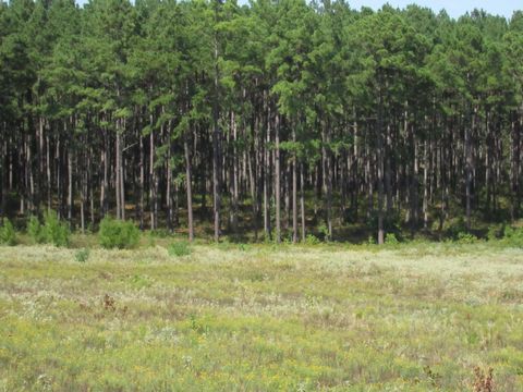 Vacant Land For Sale - 0025 Fm 256 N<br/> Woodville, TX 75979