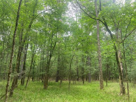 Tiny photo for 0 Wilderness Road, Point Blank, TX 77364 (MLS # 12376051)