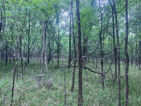 Tiny photo for 0 Wilderness Road, Point Blank, TX 77364 (MLS # 12376051)