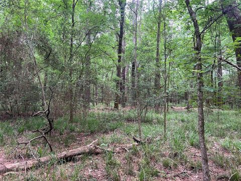 Tiny photo for 0 Wilderness Road, Point Blank, TX 77364 (MLS # 12376051)