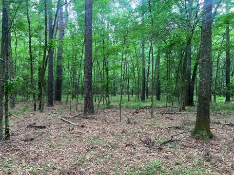 Tiny photo for 0 Wilderness Road, Point Blank, TX 77364 (MLS # 12376051)