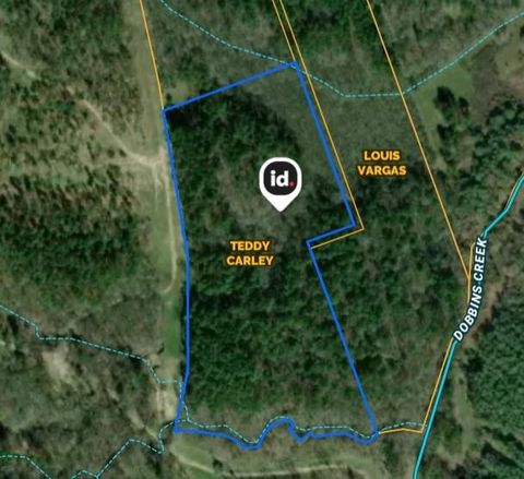 Tiny photo for 0 Wilderness Road, Point Blank, TX 77364 (MLS # 12376051)
