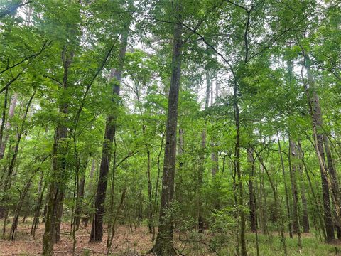 Tiny photo for 0 Wilderness Road, Point Blank, TX 77364 (MLS # 12376051)