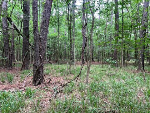 Tiny photo for 0 Wilderness Road, Point Blank, TX 77364 (MLS # 12376051)