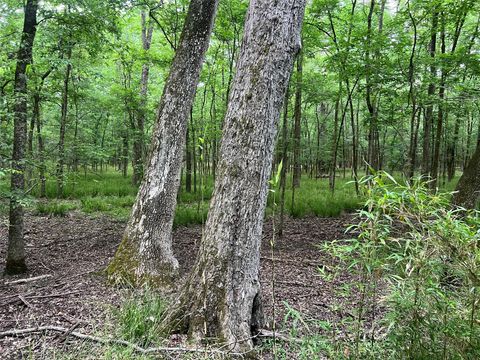 Tiny photo for 0 Wilderness Road, Point Blank, TX 77364 (MLS # 12376051)