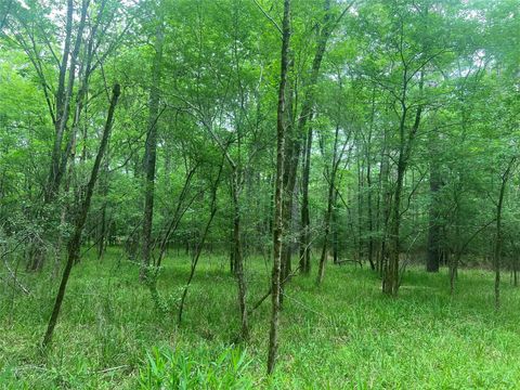 Tiny photo for 0 Wilderness Road, Point Blank, TX 77364 (MLS # 12376051)