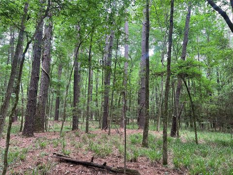 Photo of 0 Wilderness Road, Point Blank, TX 77364 (MLS # 12376051)