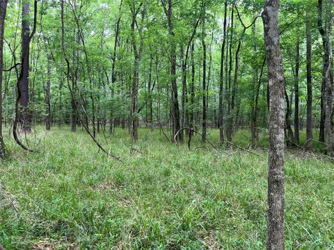 Tiny photo for 0 Wilderness Road, Point Blank, TX 77364 (MLS # 12376051)