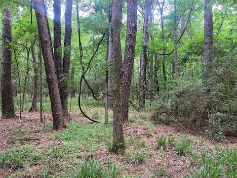 Tiny photo for 0 Wilderness Road, Point Blank, TX 77364 (MLS # 12376051)