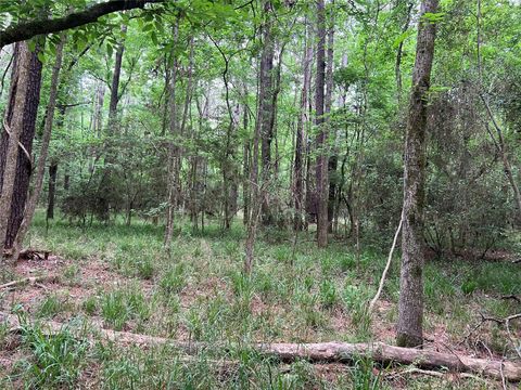 Tiny photo for 0 Wilderness Road, Point Blank, TX 77364 (MLS # 12376051)