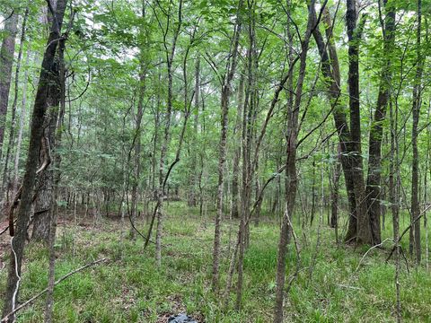 Tiny photo for 0 Wilderness Road, Point Blank, TX 77364 (MLS # 12376051)