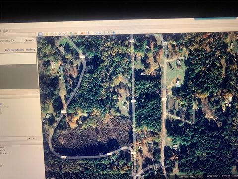 Vacant Land For Sale - CR 1145 Lundy Lane Lane<br/> Morris County, Daingerfield, TX 75638