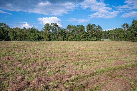 Photo of 2424 County Road 3550, Woodville, TX 75979 (MLS # 74376998)