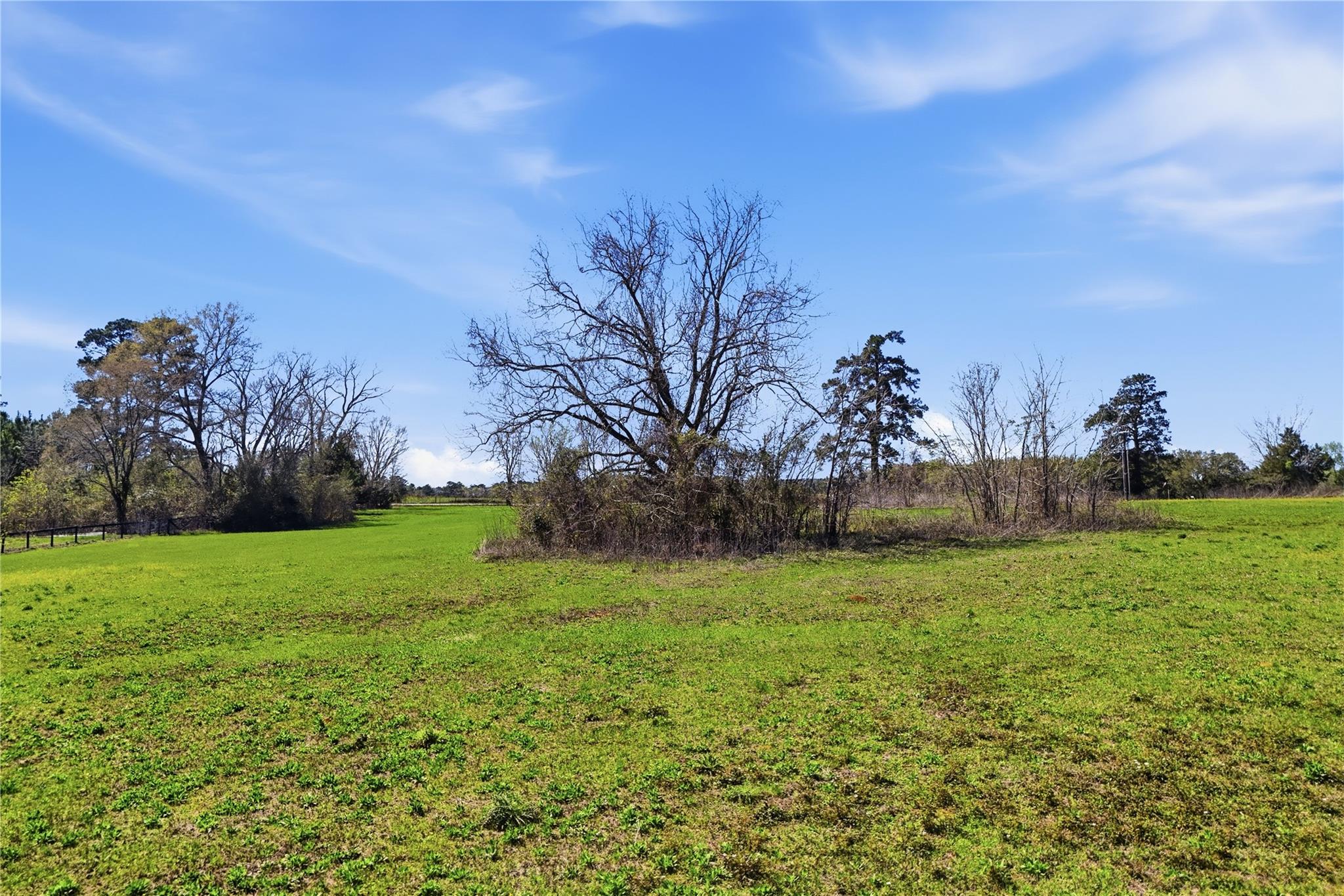 27390 Fm 1097 West