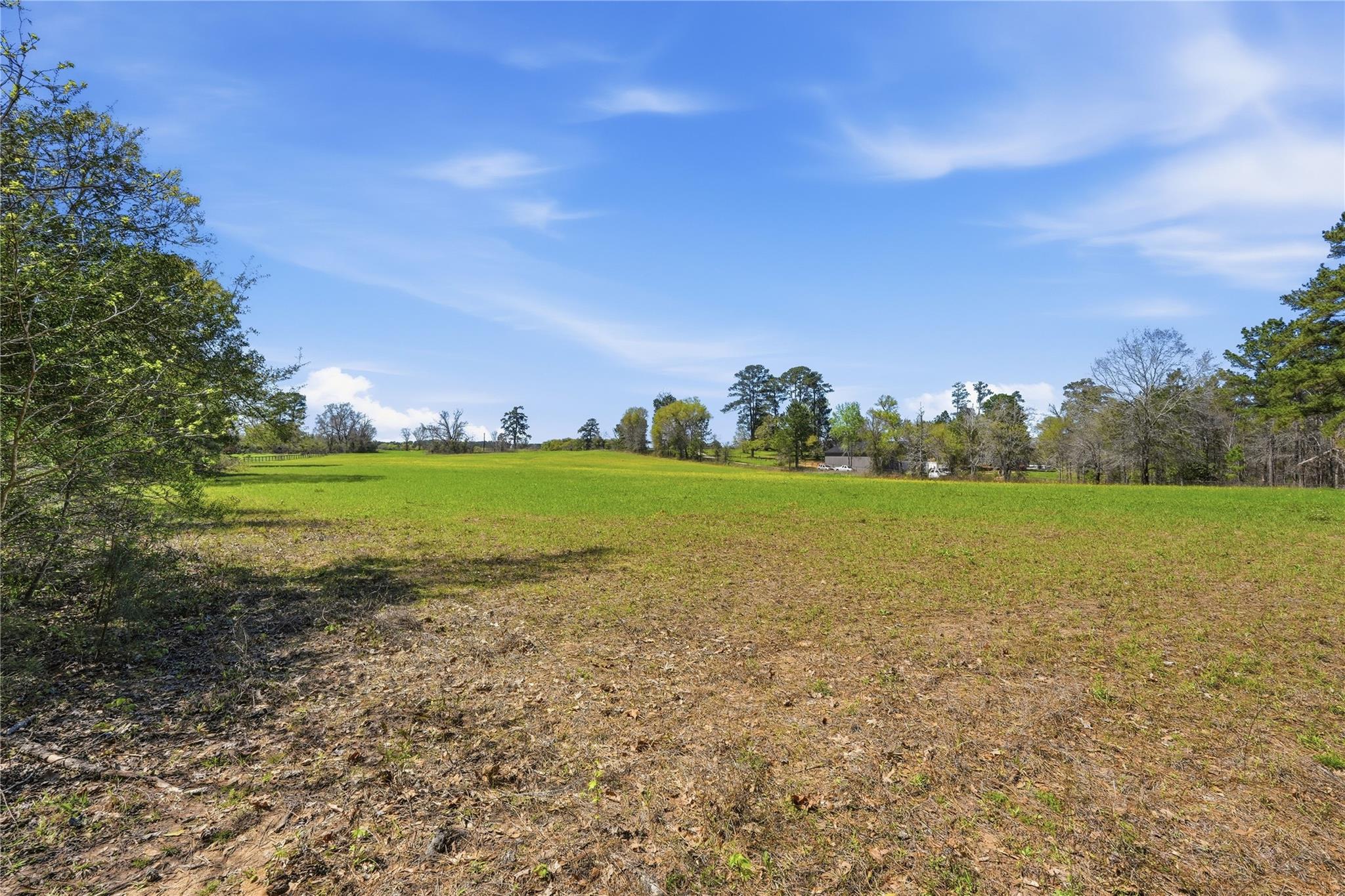 27390 Fm 1097 West